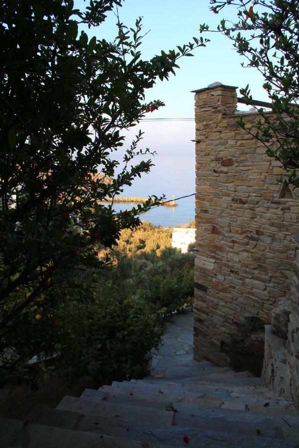 Cozy Guesthouse - Agios Romanos Екстер'єр фото